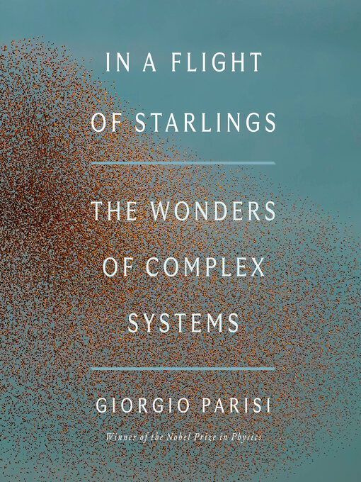 Cover image for In a Flight of Starlings